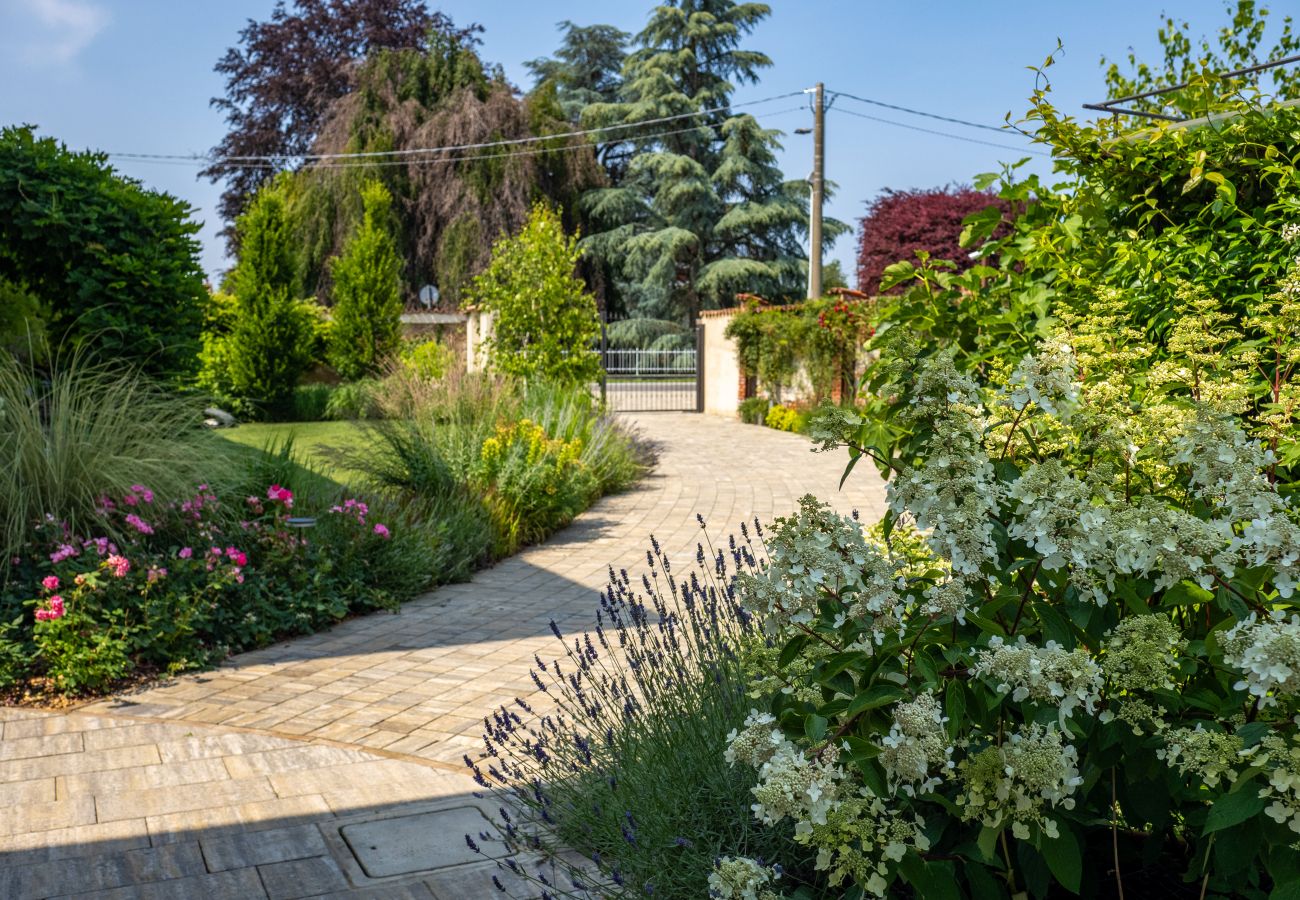 Appartamento a Cressa - Green Lodge - Apartment 3 - 1 BR, 1 BATH Appartamento a Cressa - Green Lodge - Apartment 3 - 1 BR, 1 BATH